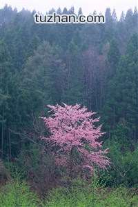 运动员合作失误，导致意外出局：一颗接力棒引发的全民热议