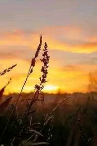 热闹的足球大战，女性选手展现实力进取！