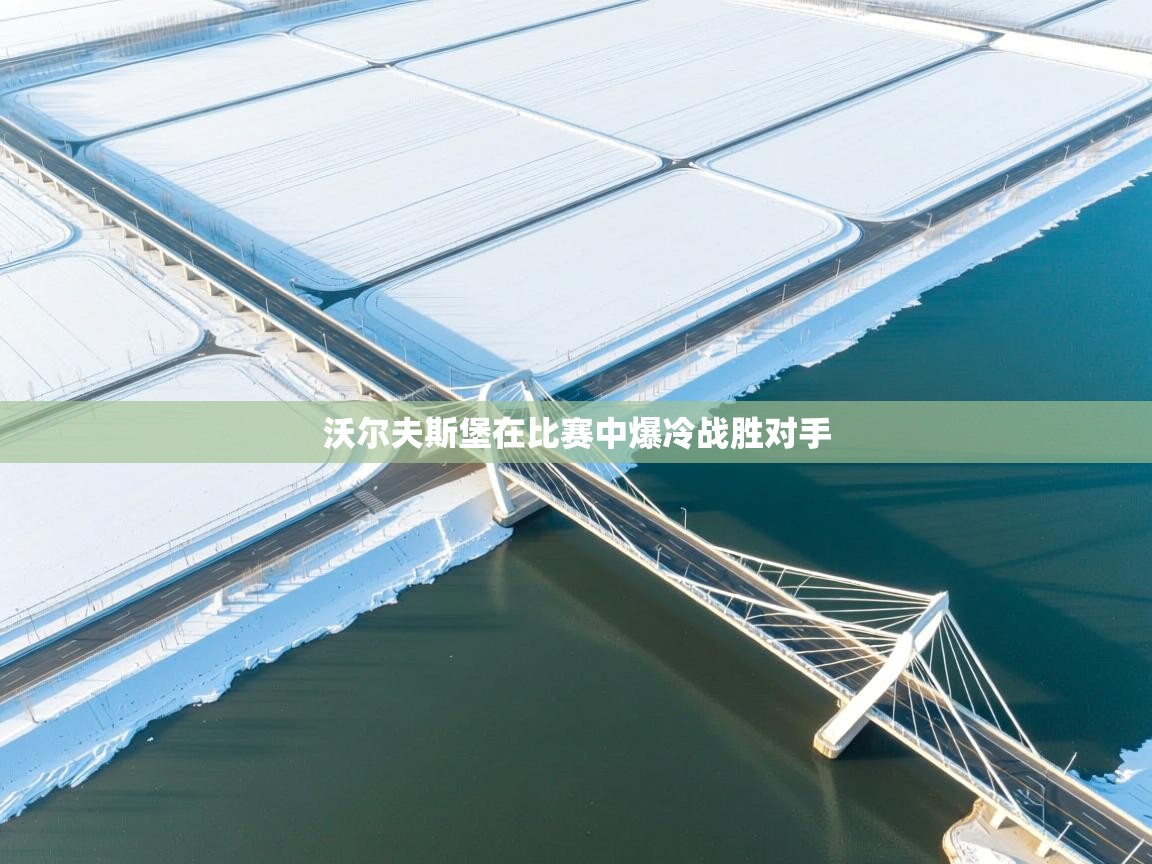 沃尔夫斯堡在比赛中爆冷战胜对手 第1张