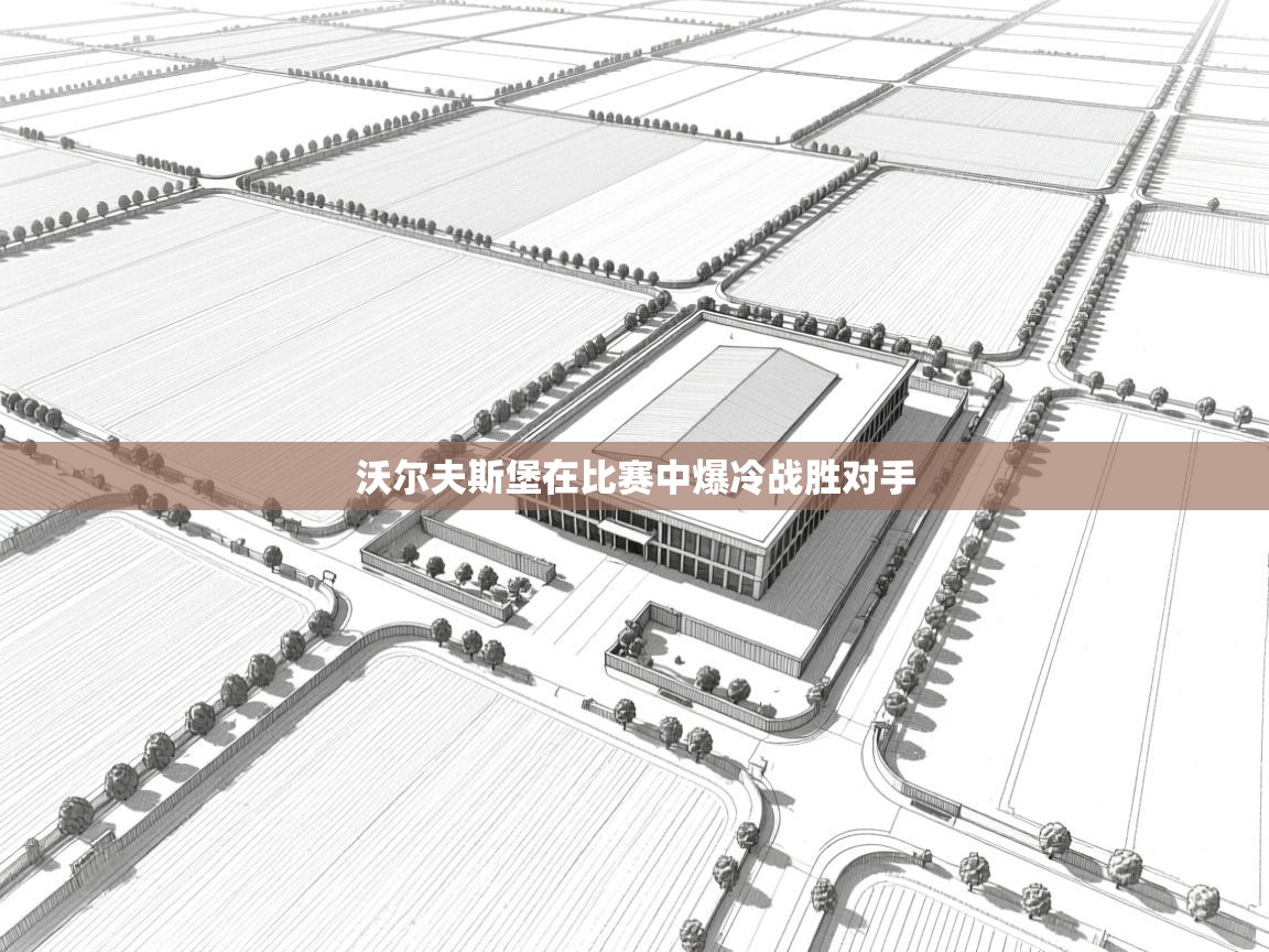 沃尔夫斯堡在比赛中爆冷战胜对手 第2张