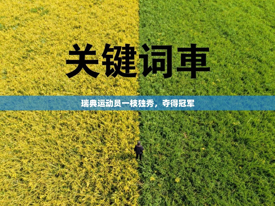 瑞典运动员一枝独秀，夺得冠军  第2张